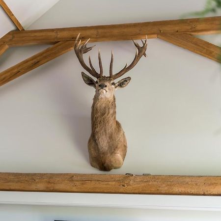 Hoeve De Zuidhoek Brugge Eksteriør bilde