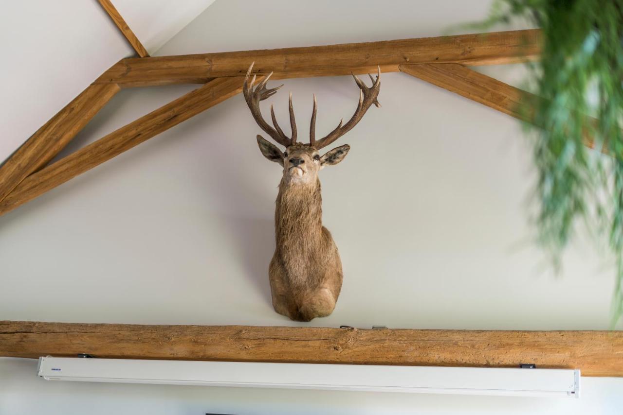 Hoeve De Zuidhoek Brugge Eksteriør bilde